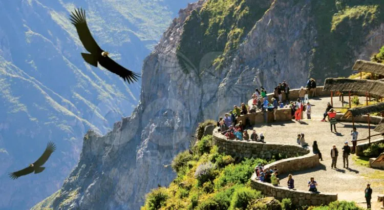 EXPLORA EL CAÑÓN DEL COLCA EN AREQUIPA FD